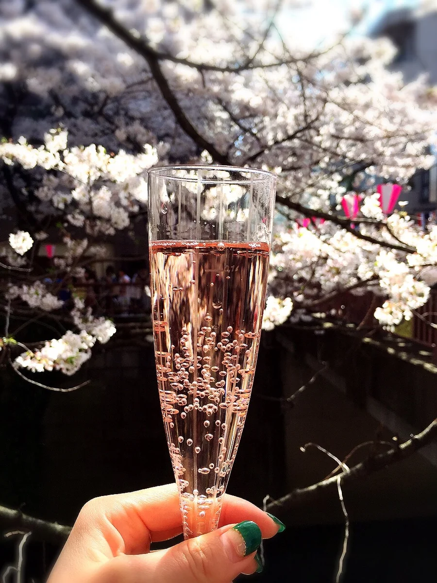 投稿写真：目黒川