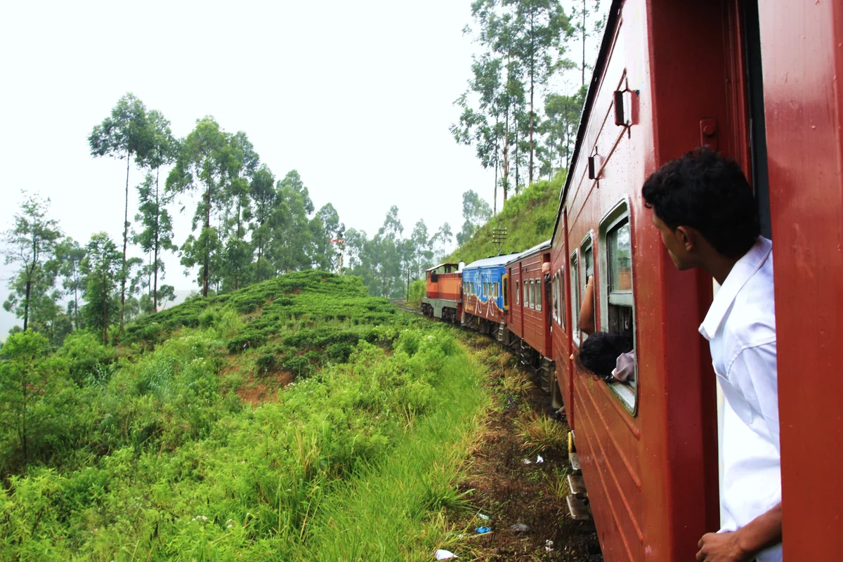 投稿写真：ヌワラ・エリヤ高原鉄道