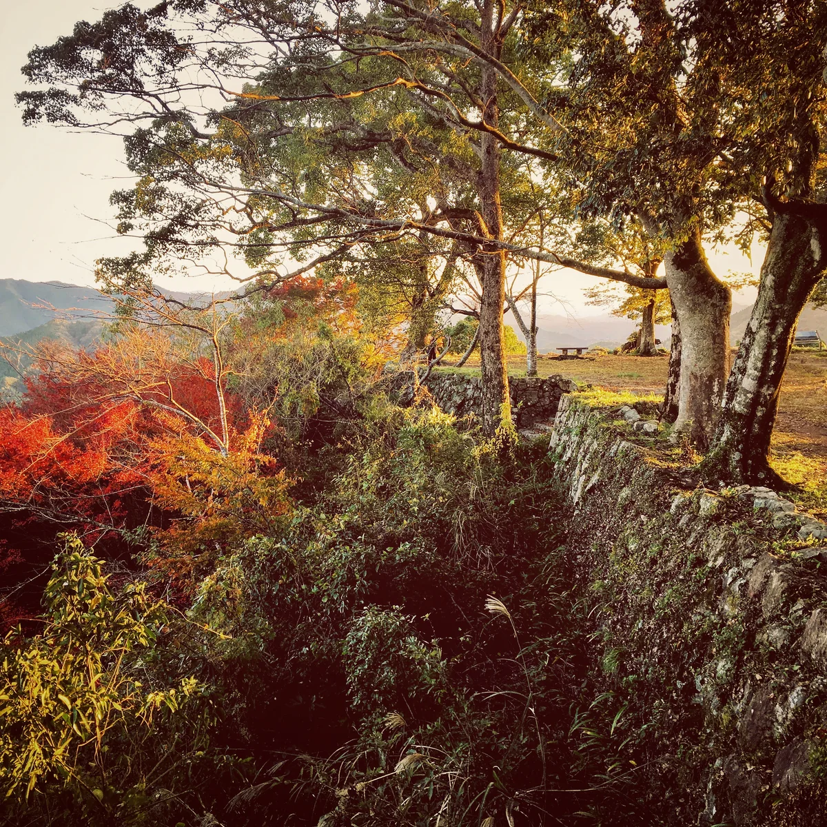 投稿写真：佐伯城