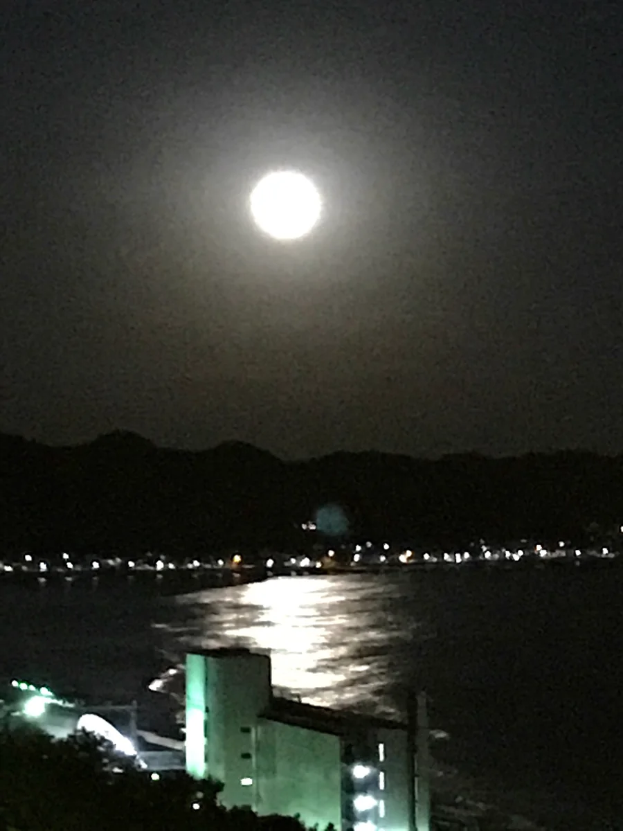 投稿写真：新たな年の道しるべ