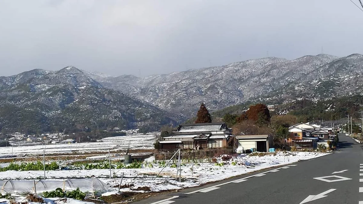 投稿写真：東脊振山麓の積雪