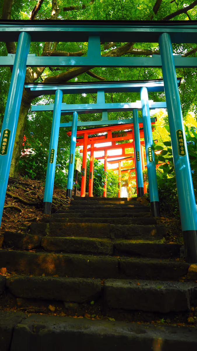 投稿写真：七色の鳥居の小径