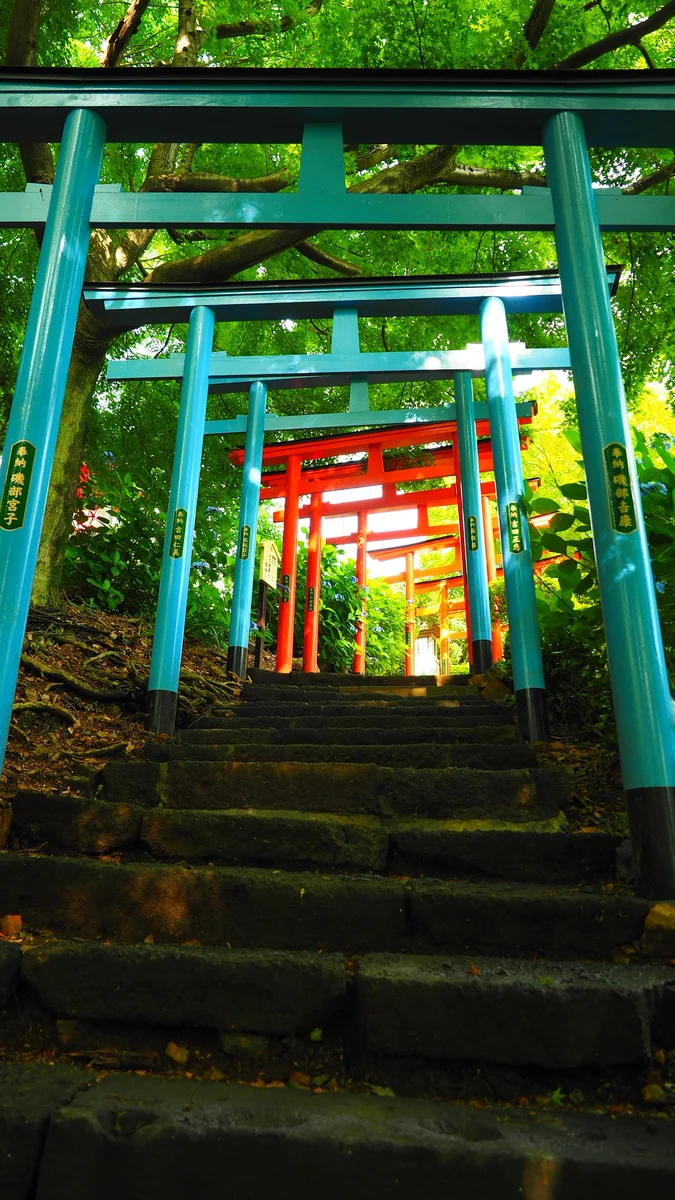 投稿写真：七色の鳥居の小径