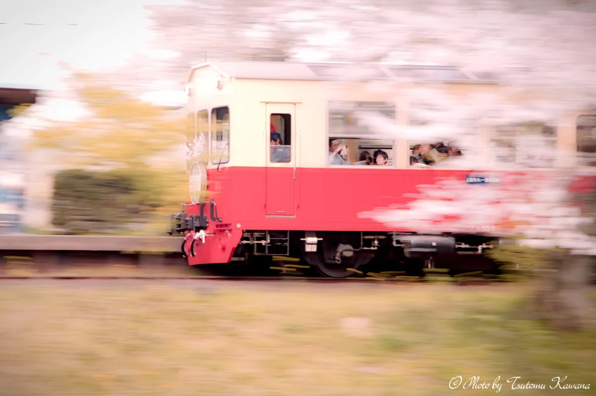 投稿写真：Taking a cherry-colored truck