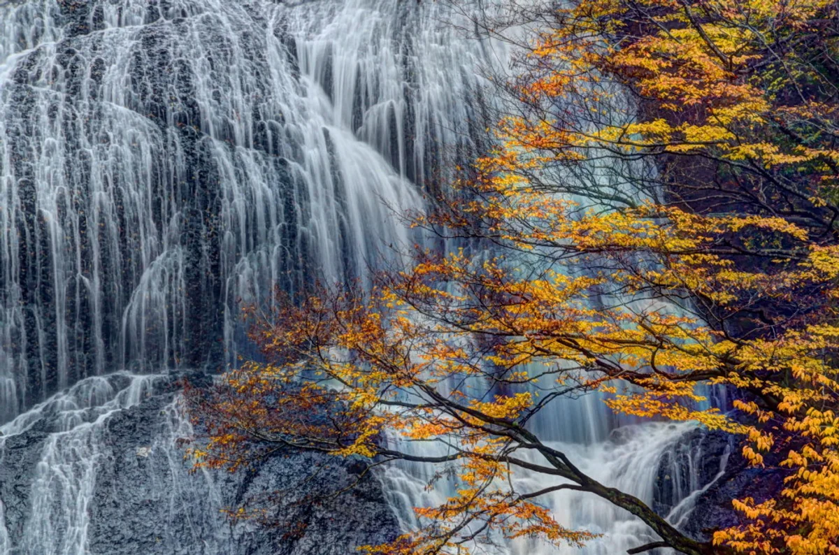 投稿写真：秋の袋田の滝