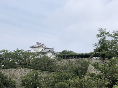  | 絶景事典