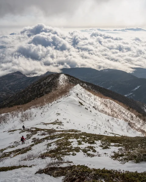 投稿：挑む者たち