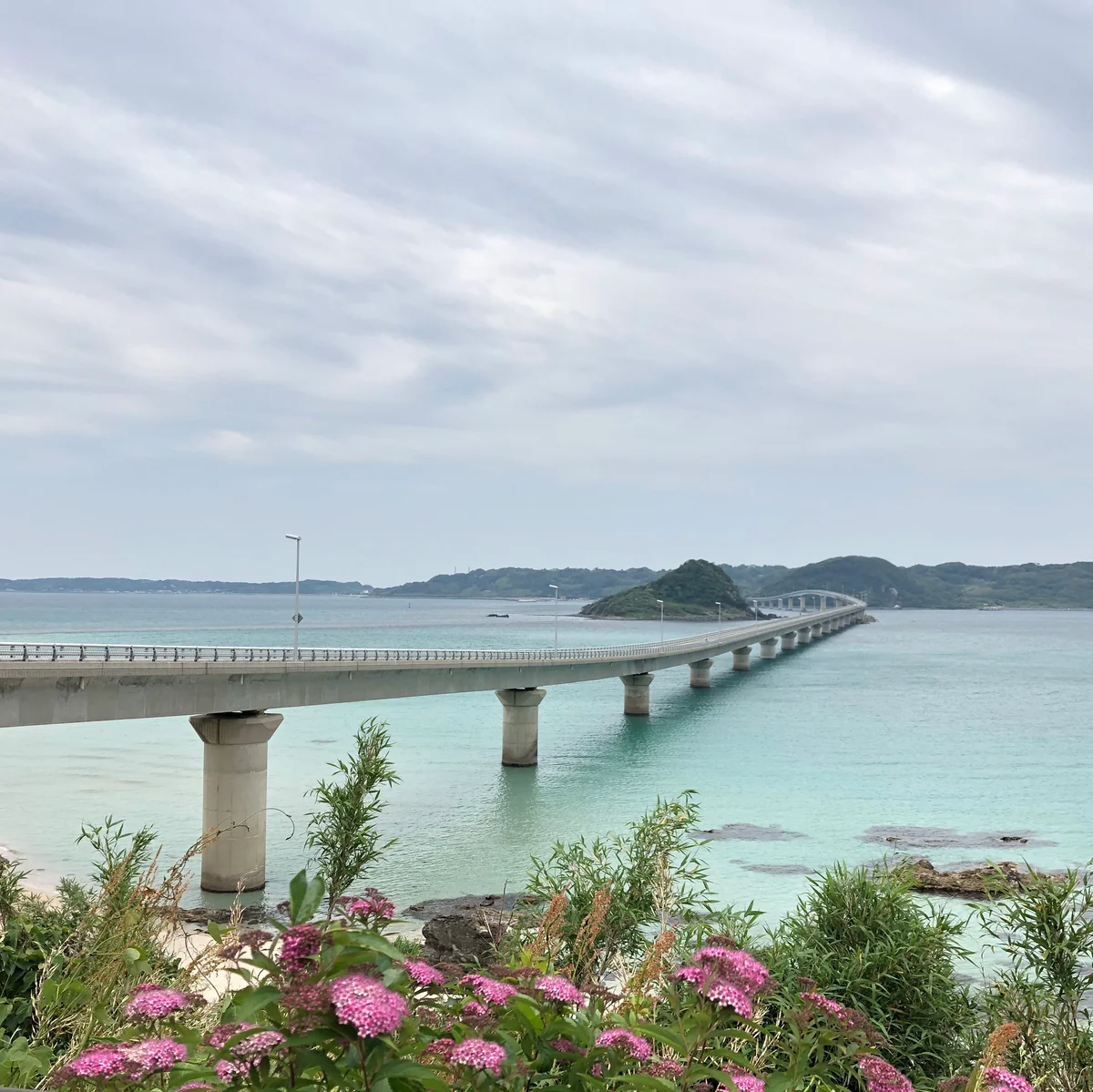 投稿写真：お花と角島大橋