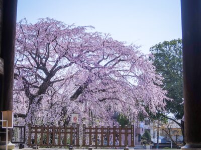  | 絶景事典