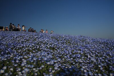  | 絶景事典