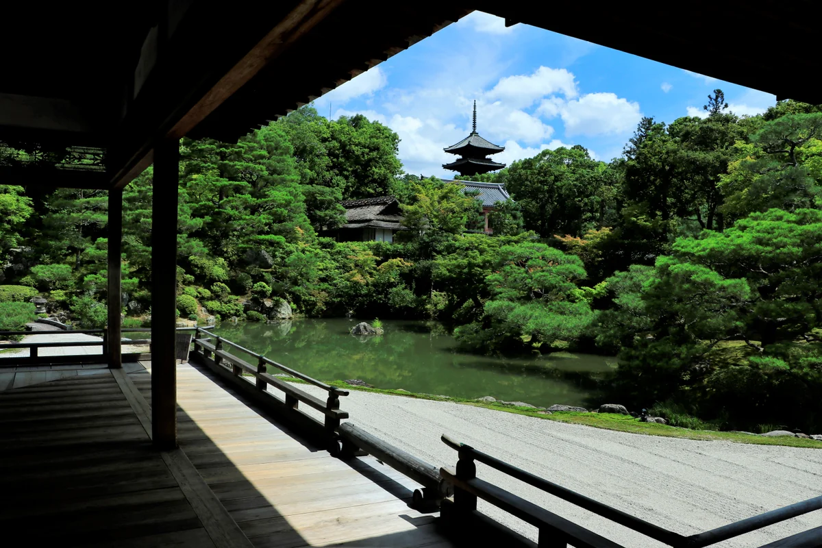 投稿写真：仁和寺宸殿から五重塔を望む