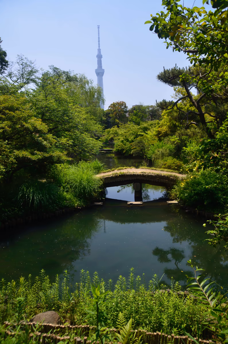 投稿写真：向島百花園　初夏　緑映