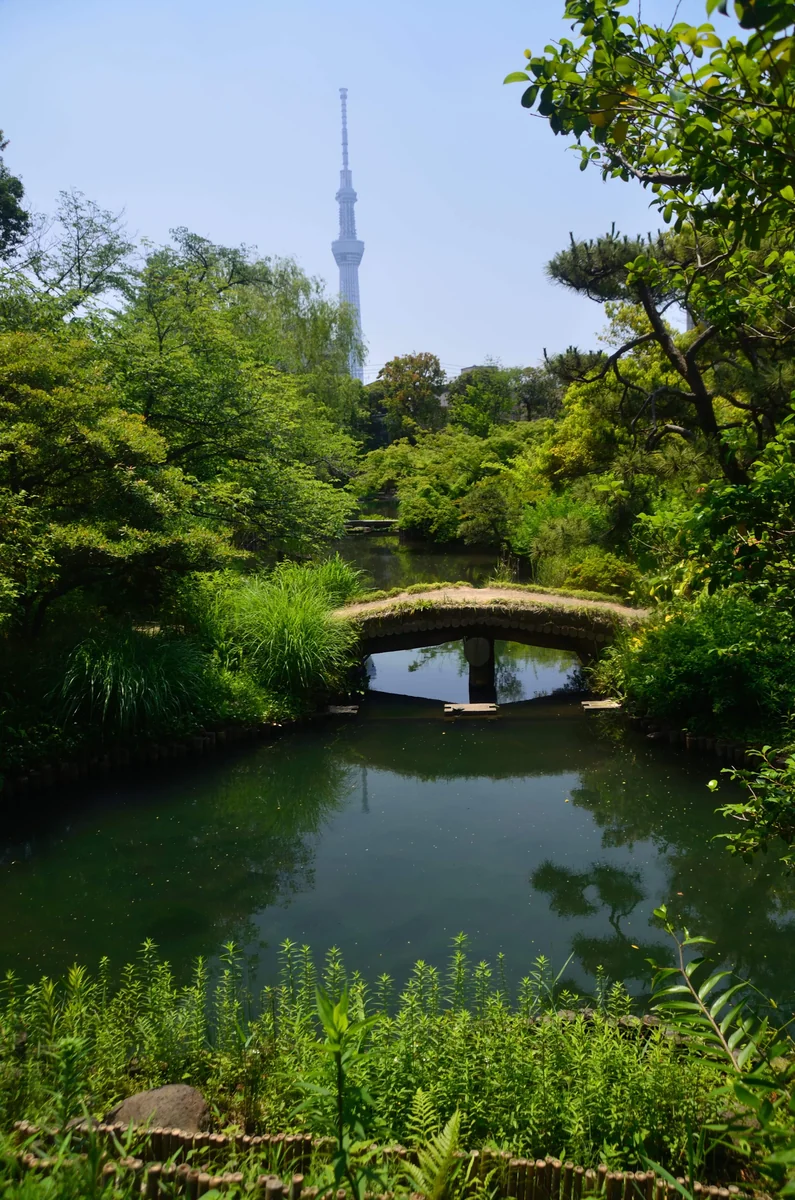 投稿写真：向島百花園　初夏　緑映
