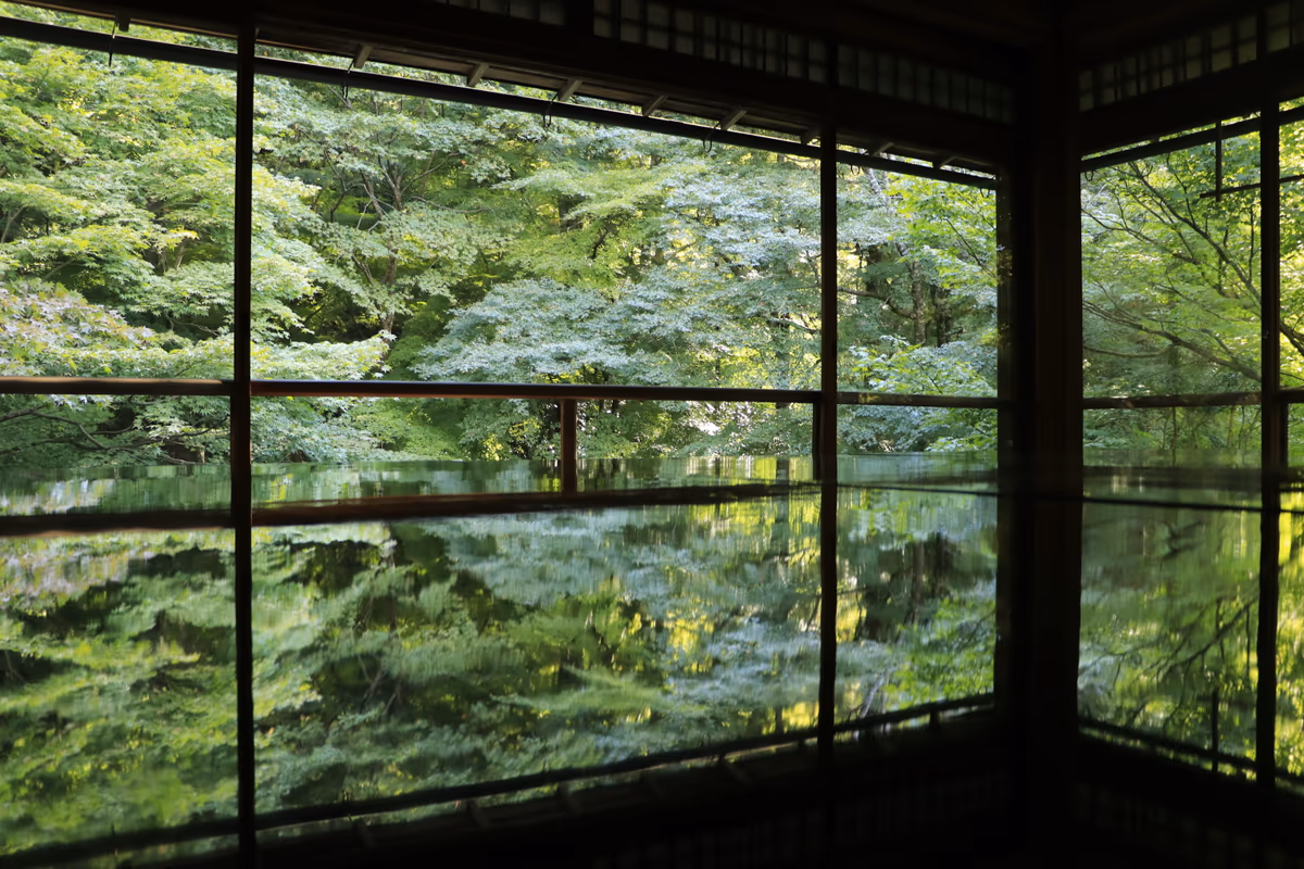 投稿写真：瑠璃光院　青紅葉