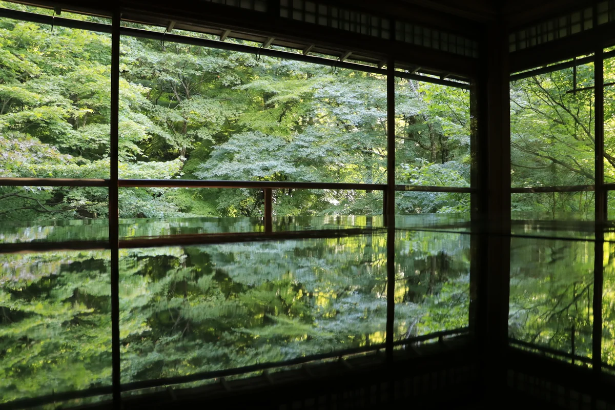 投稿写真：瑠璃光院　青紅葉