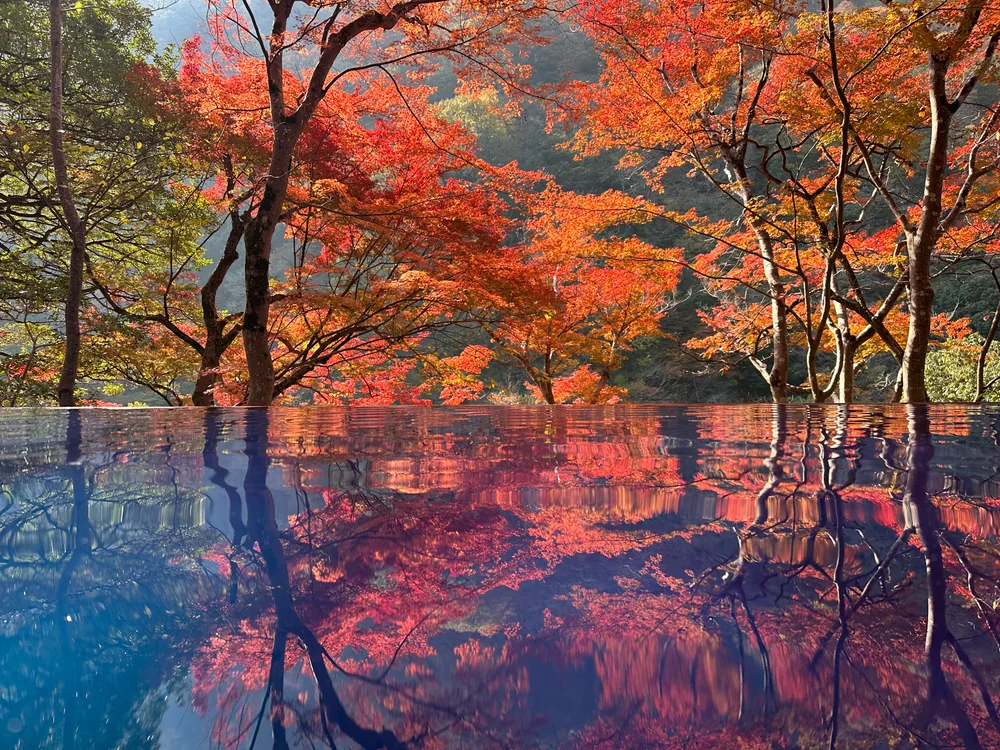 投稿写真：秋の訪れ