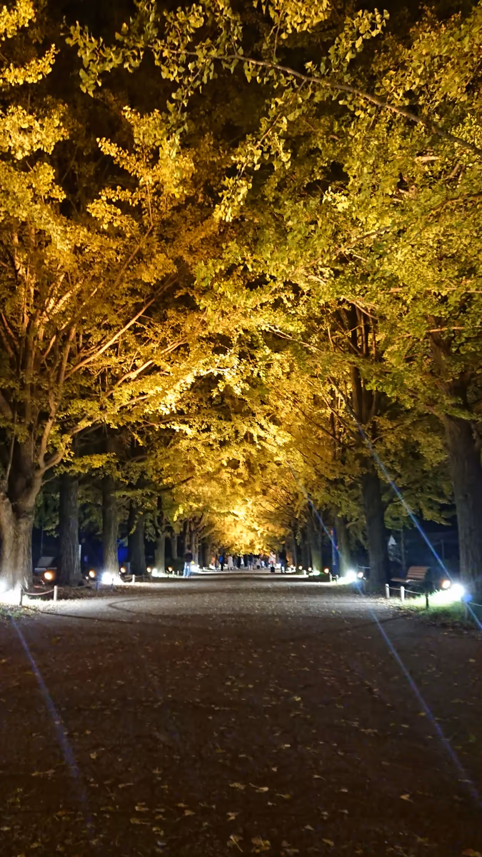投稿写真：昭和記念公園