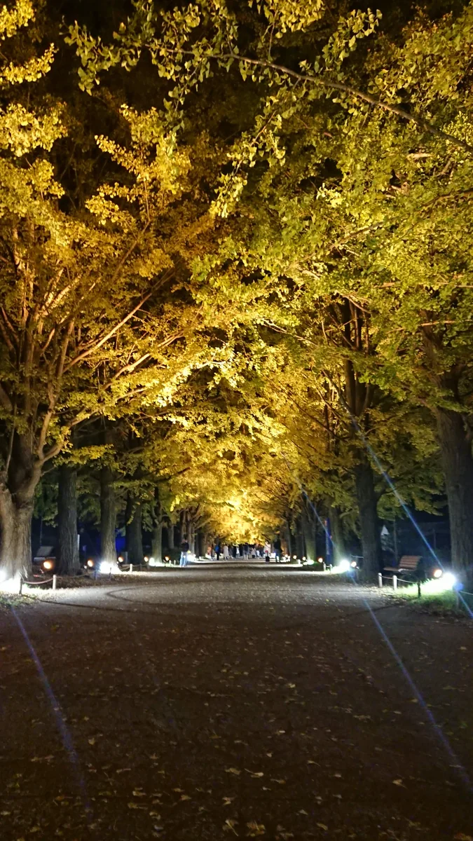 投稿写真：昭和記念公園