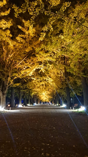 投稿：昭和記念公園