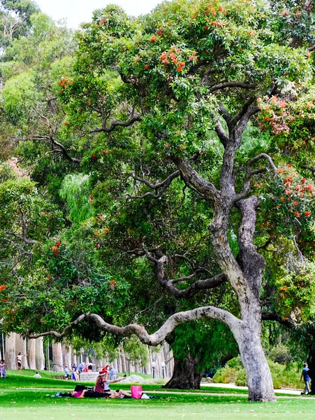 投稿：真夏のクリスマス