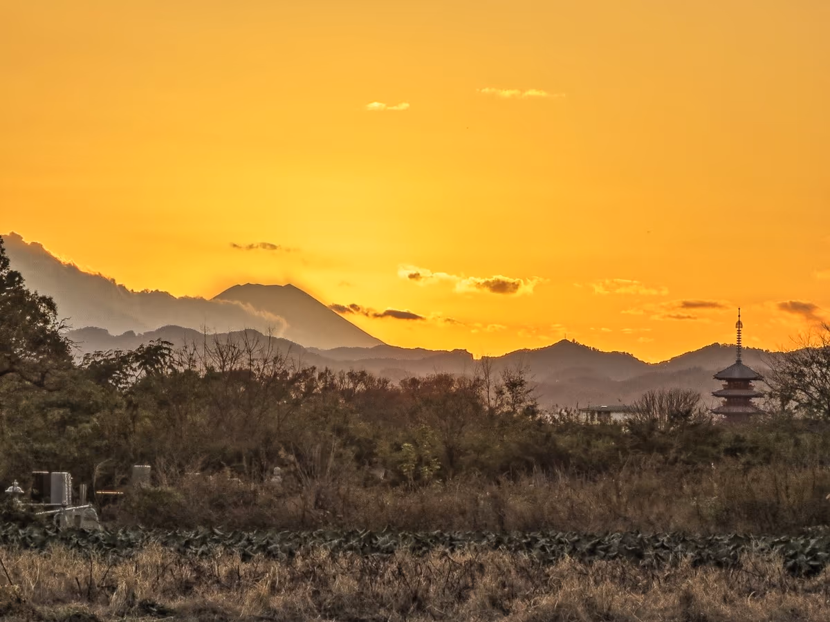投稿写真：夕富士と五重塔