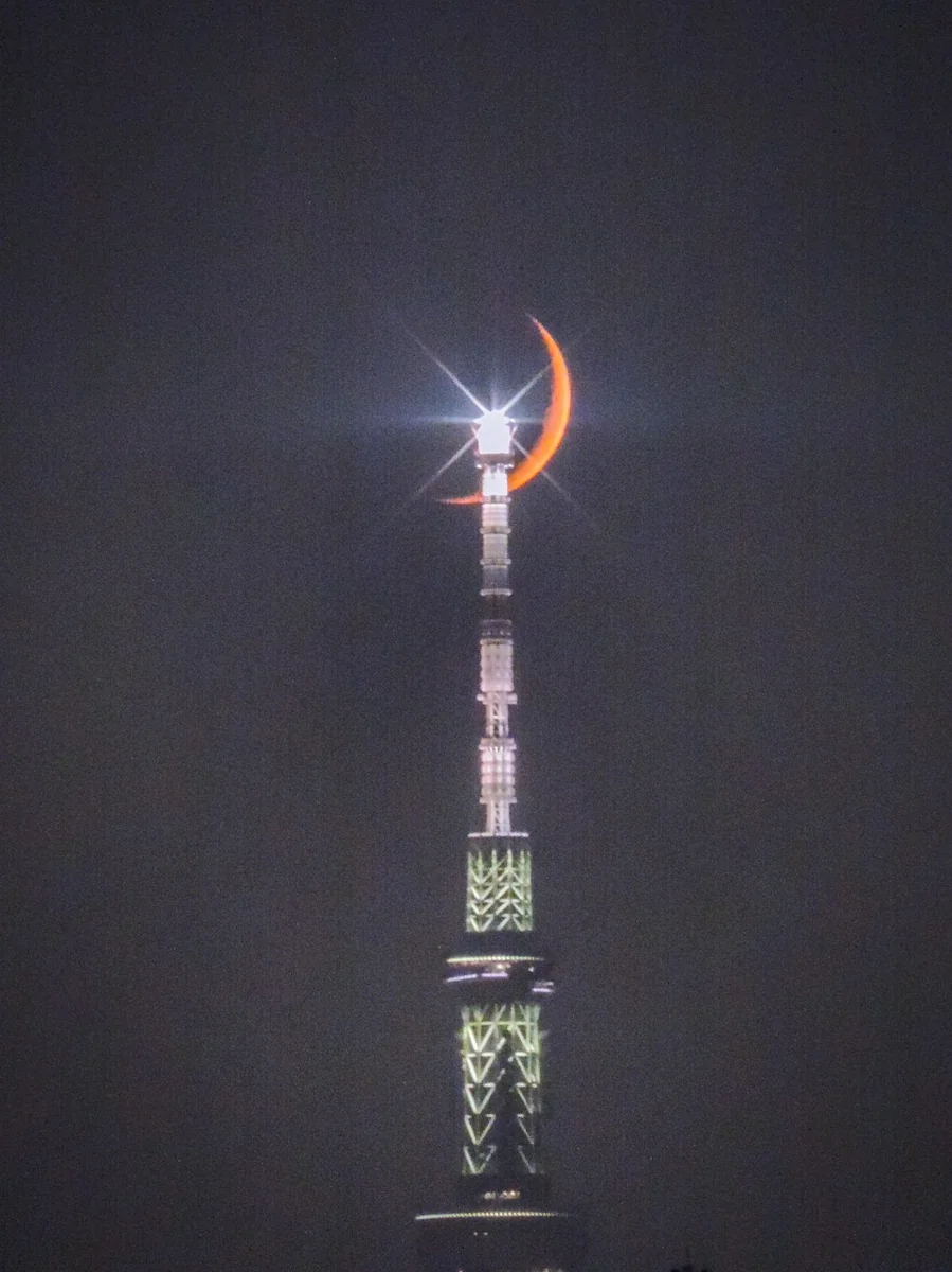 投稿写真：スカイツリーにクロスする四日月
