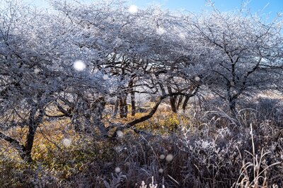  | 絶景事典