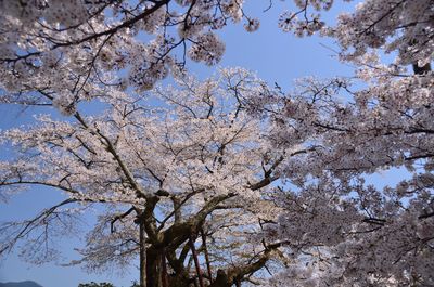  | 絶景事典