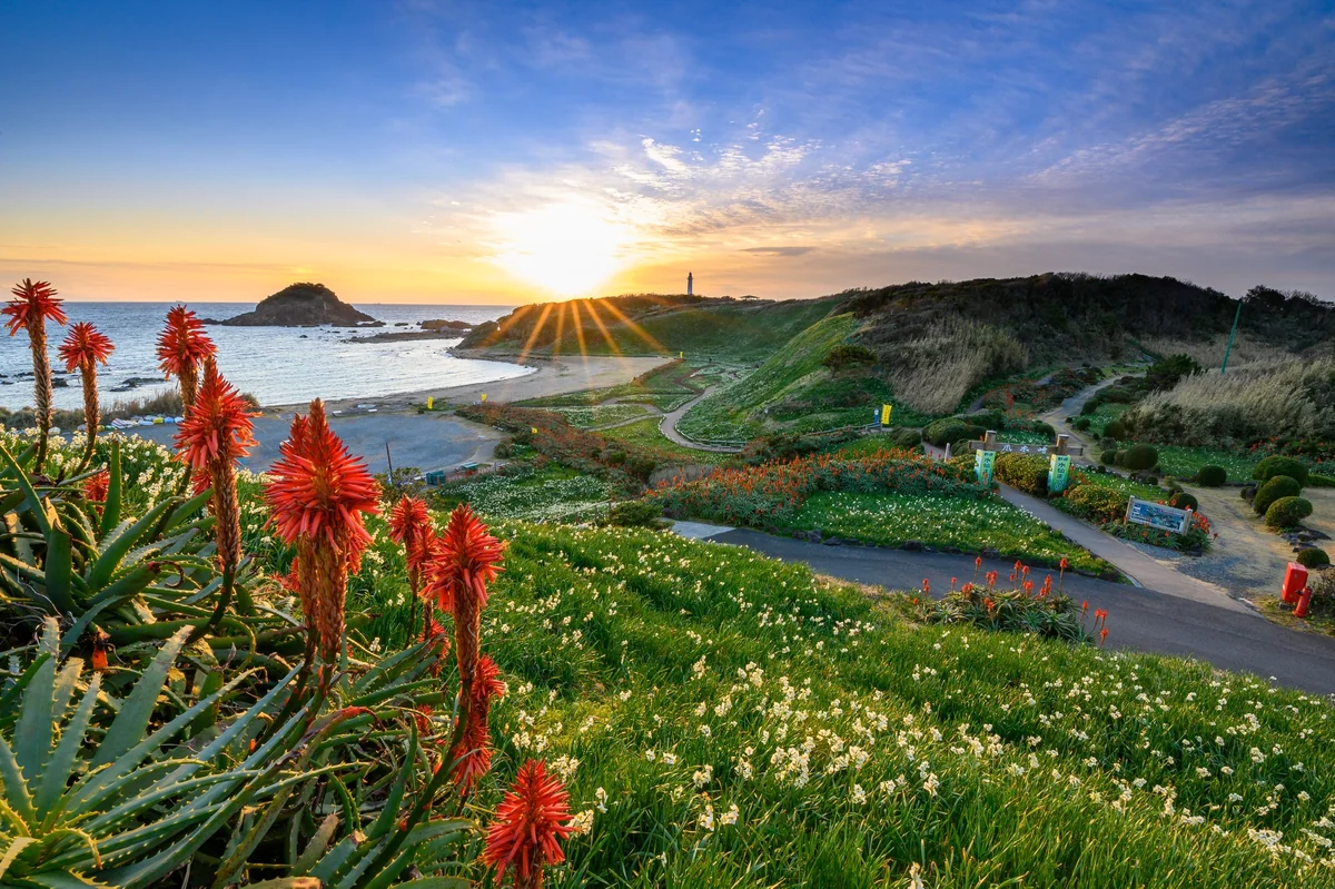 投稿写真：冬 ノ 鼓動