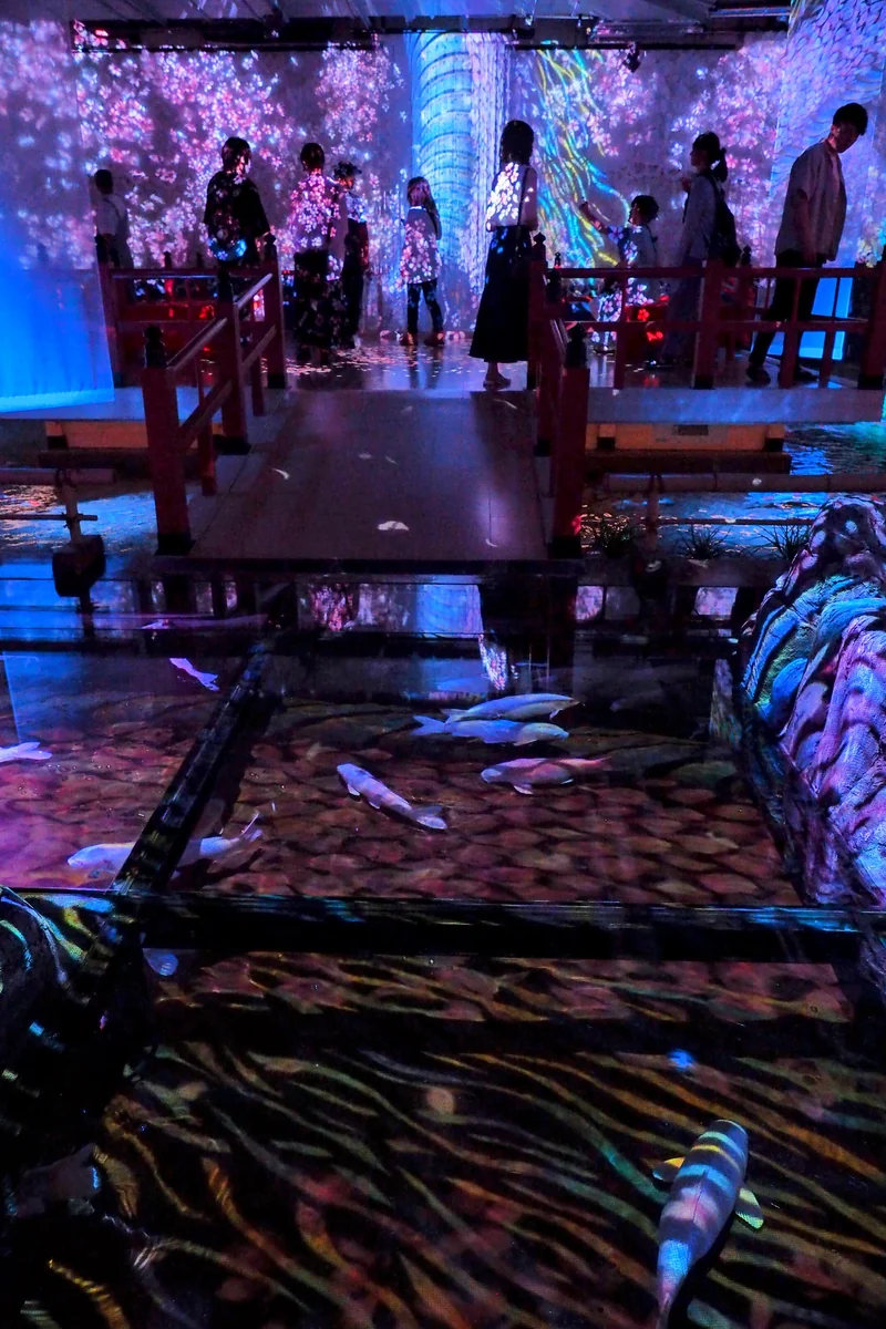 投稿写真：光の庭