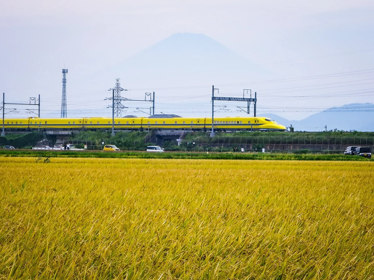 投稿写真：実りの秋を走るドクターイエロー