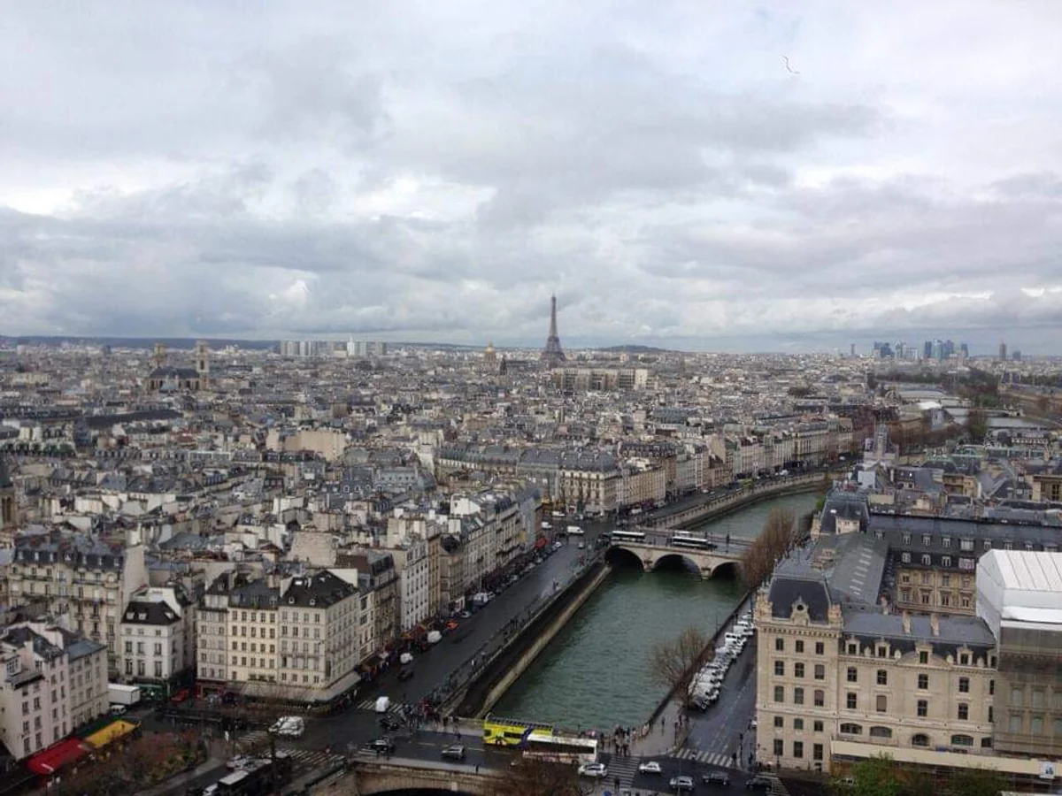 投稿写真：ノートルダムから見たエッフェル塔