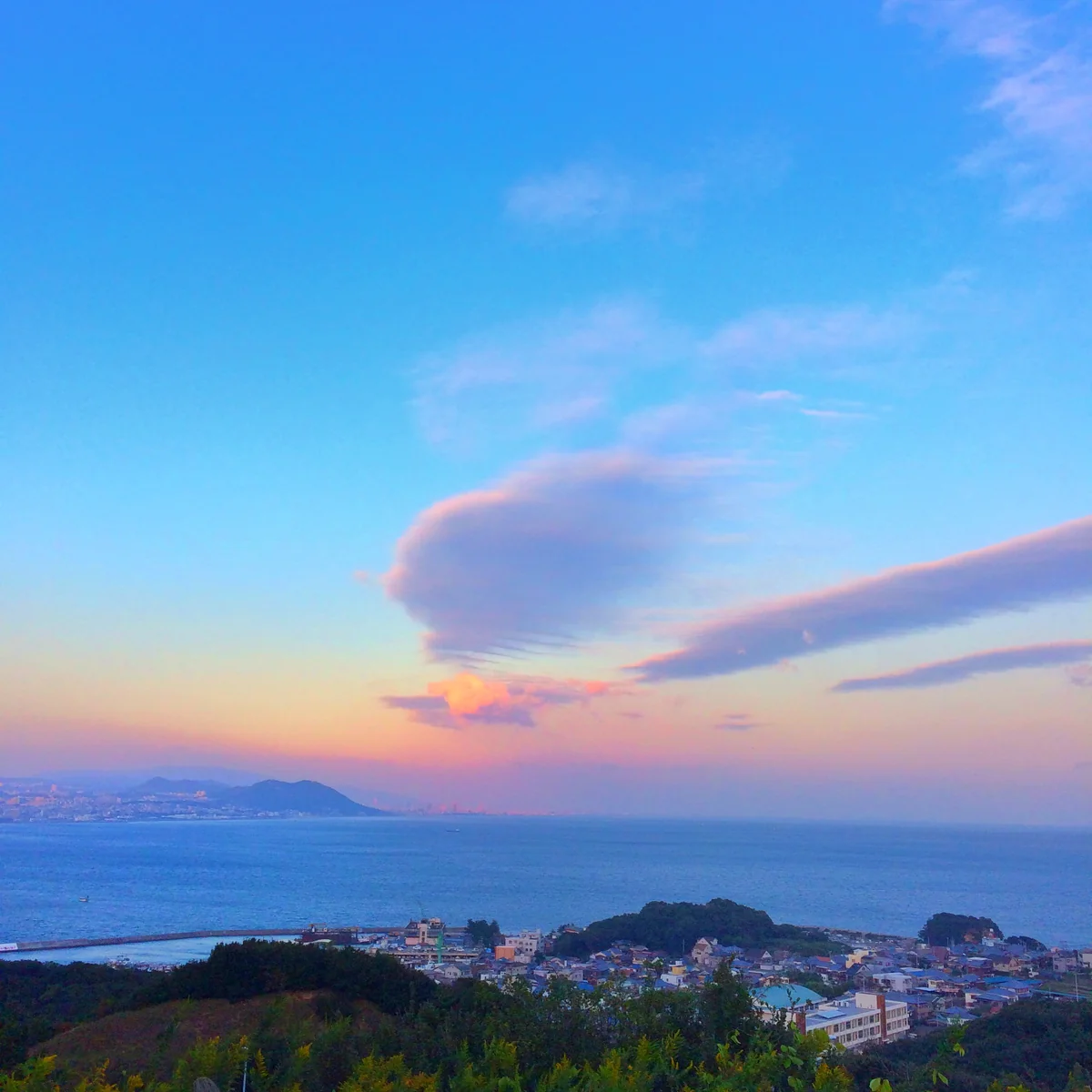 投稿写真：空に浮かぶ大きな鳥