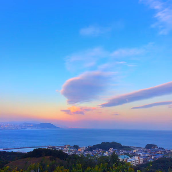 投稿：空に浮かぶ大きな鳥