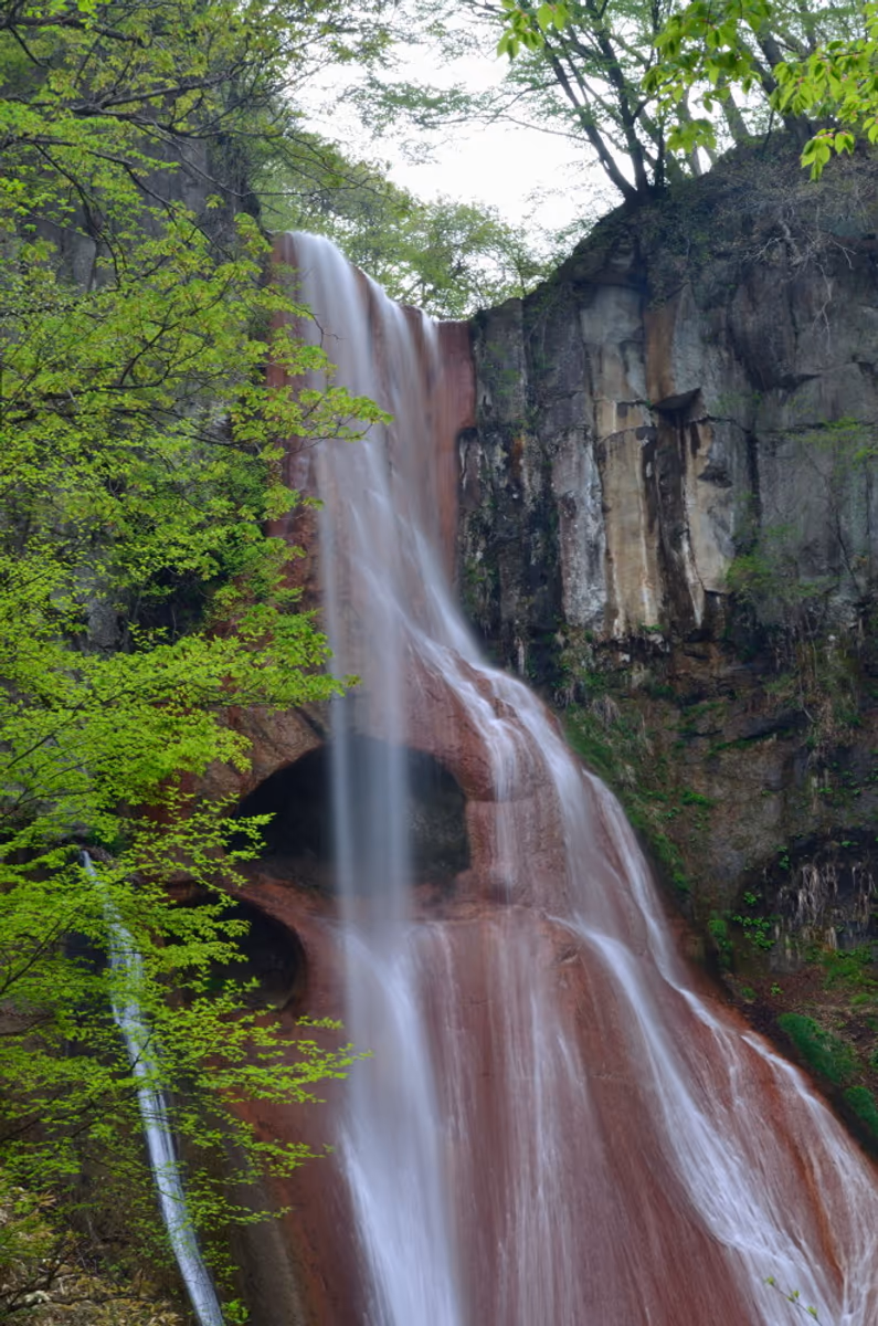 投稿写真：新緑の中の嫗仙の滝