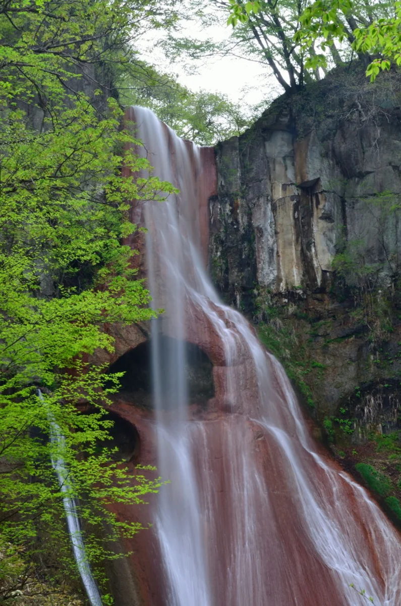 投稿写真：新緑の中の嫗仙の滝