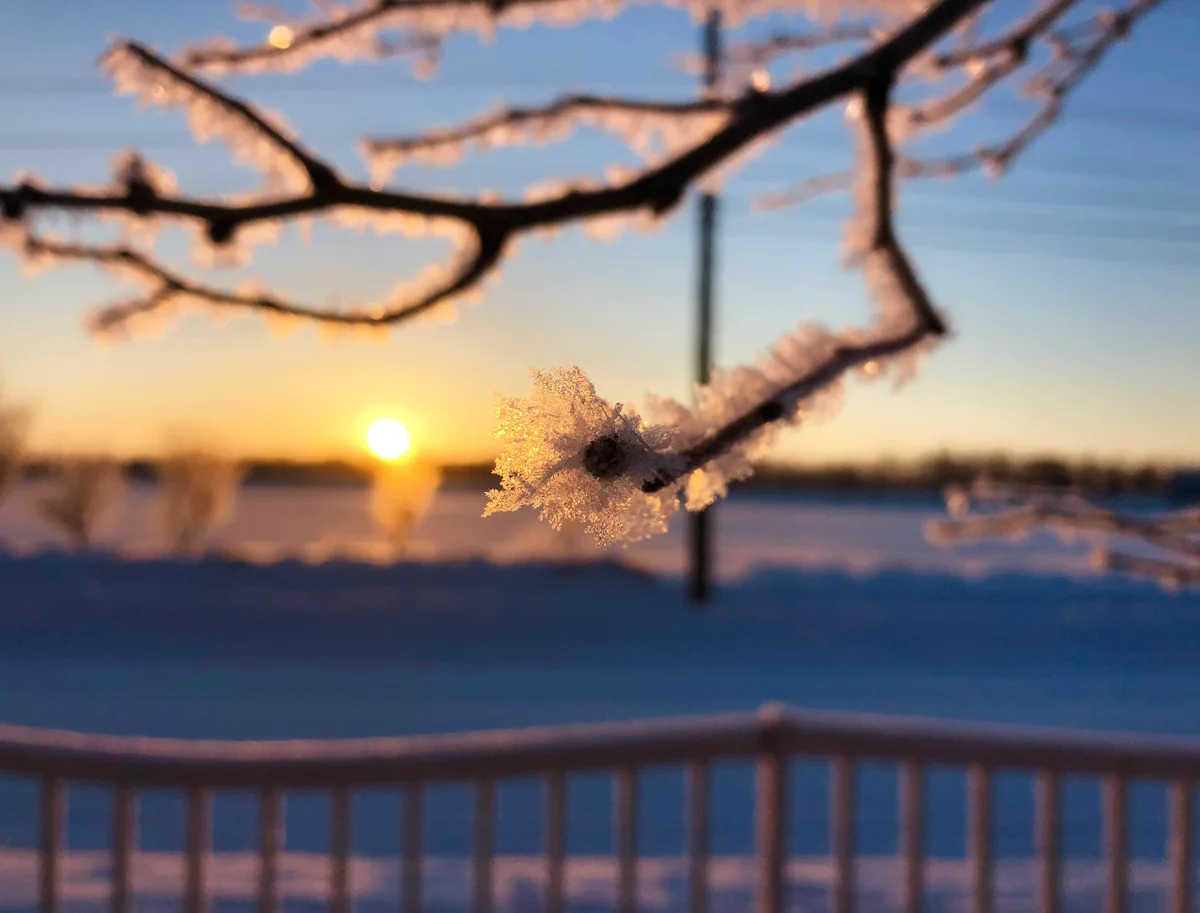 投稿写真：北国の朝日