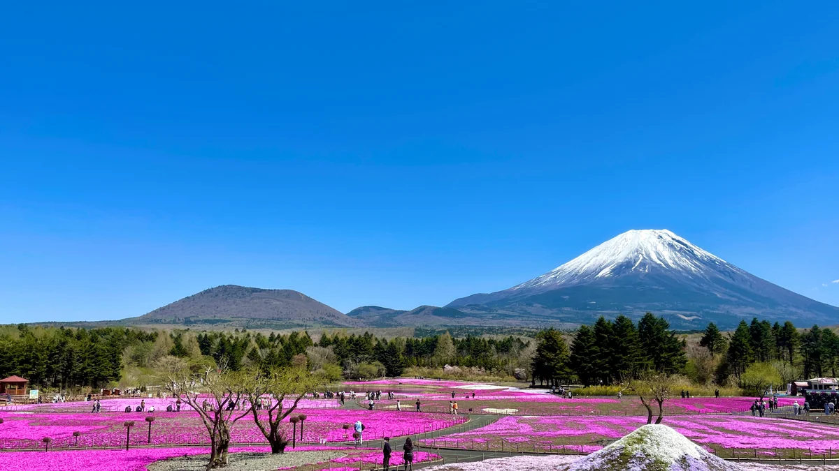 M.Aさんの投稿写真