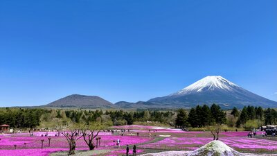  | 絶景事典