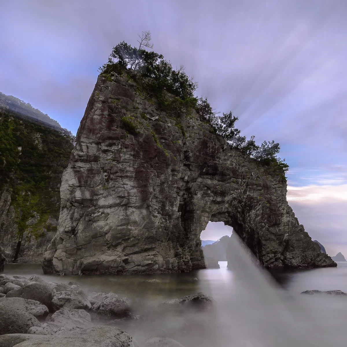 投稿写真：『A』