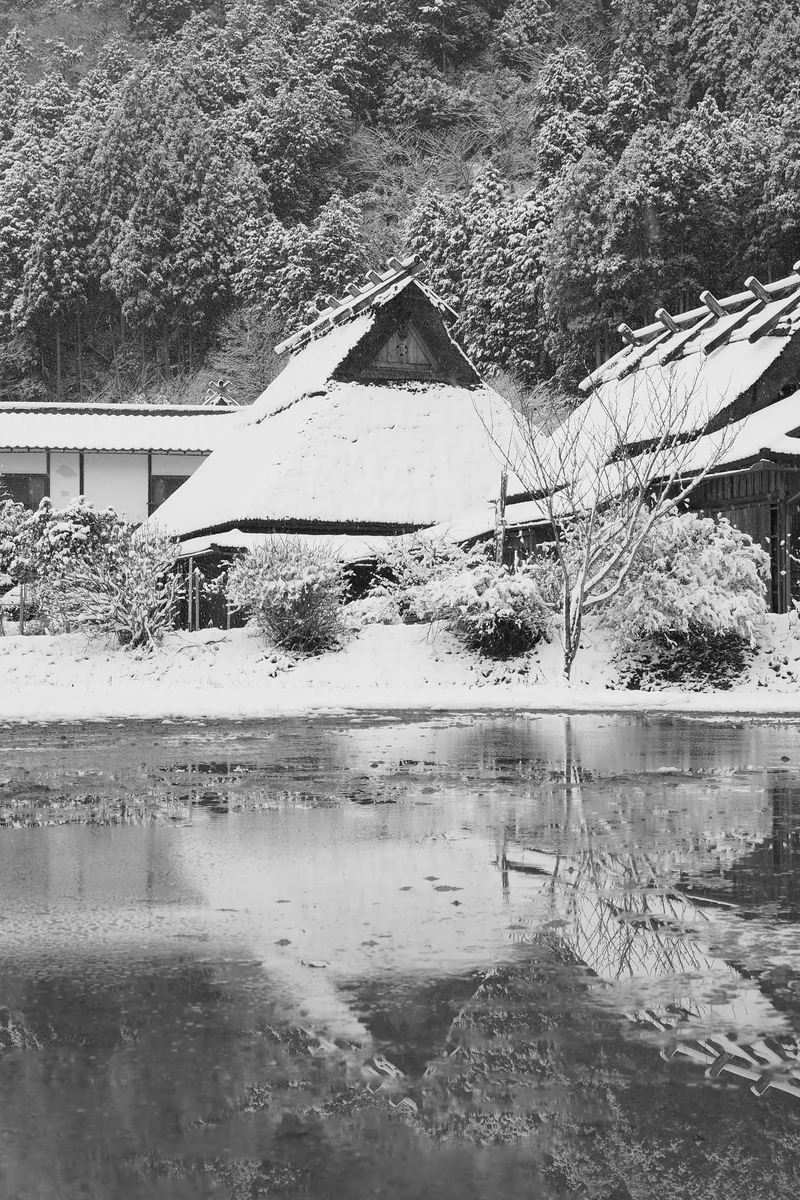 投稿写真：雪降る里