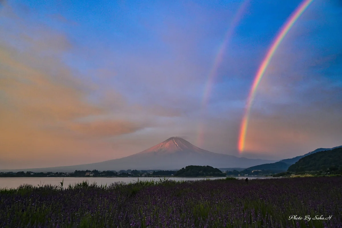 投稿写真：二重虹