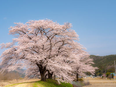  | 絶景事典