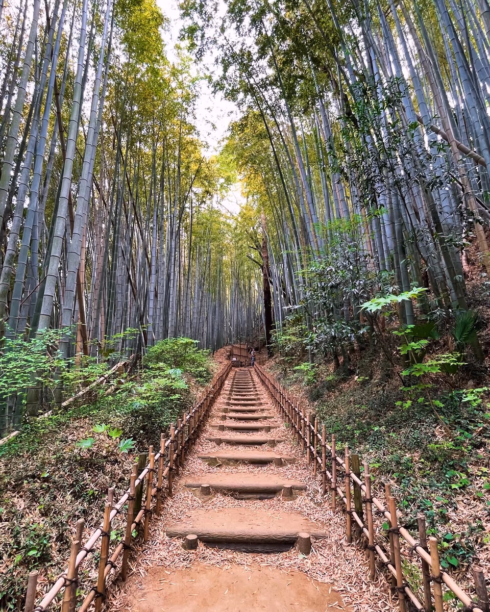 投稿写真：サムライの小径