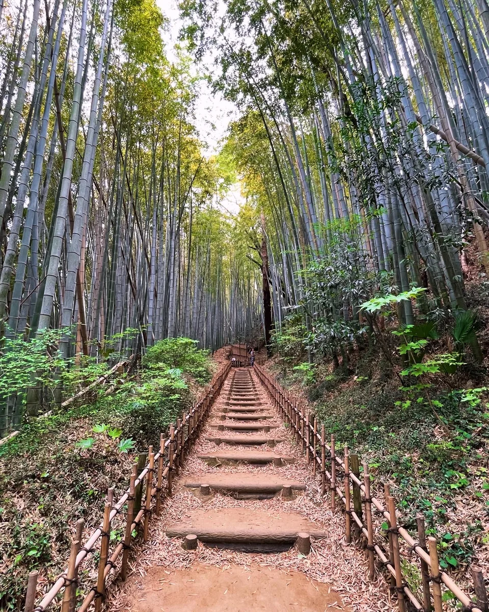 投稿写真：サムライの小径