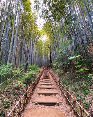  | 絶景事典
