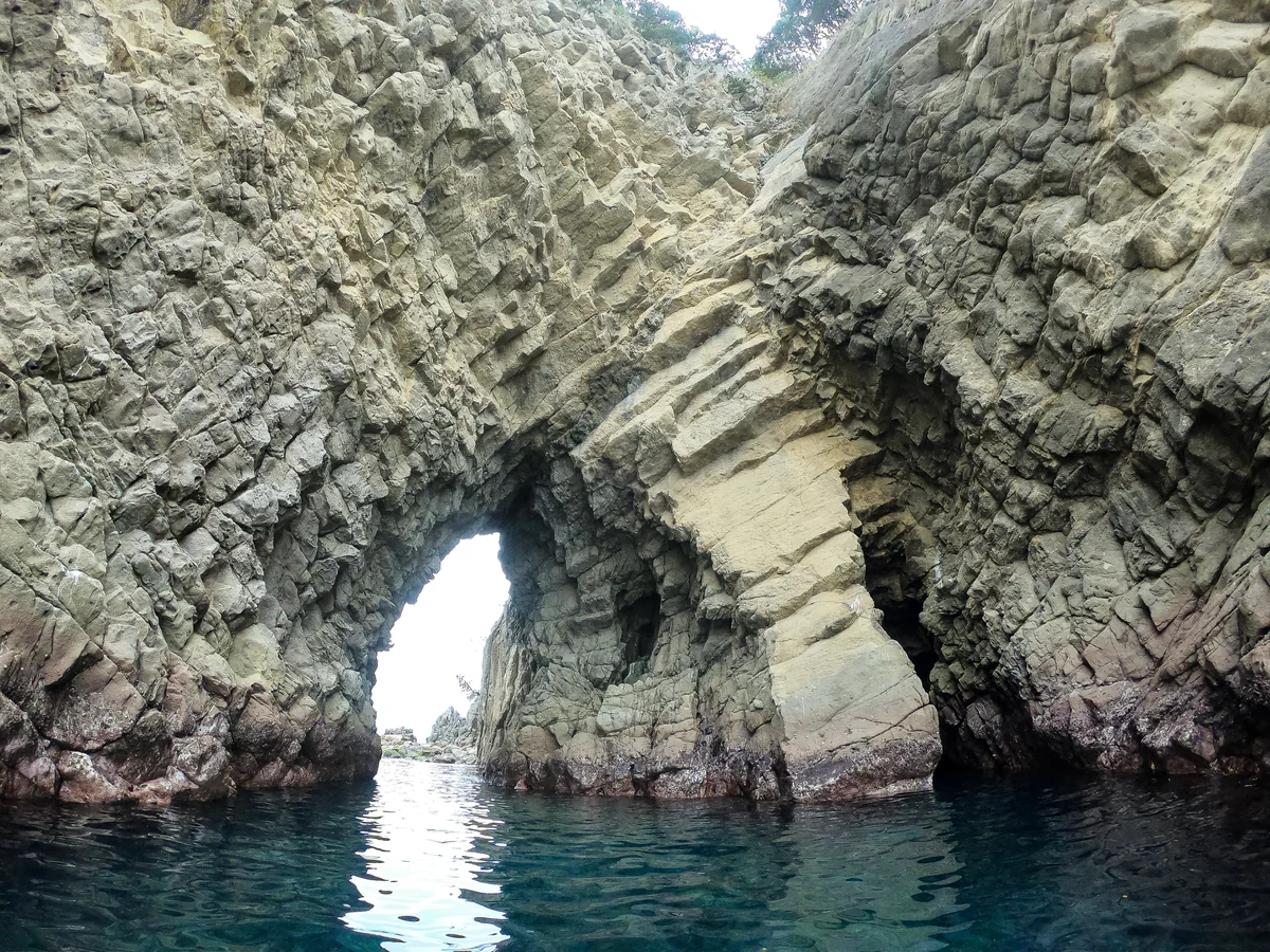 バローズすぎるさんの投稿写真