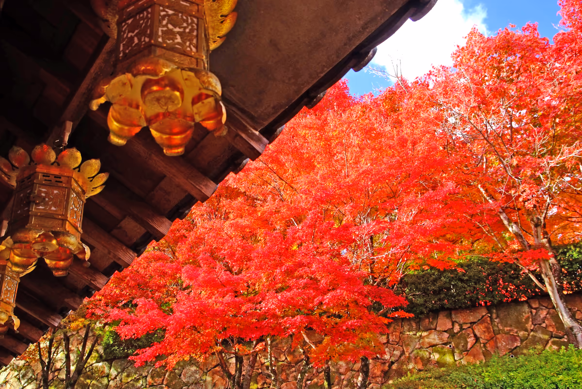 投稿写真：秋の光と灯篭
