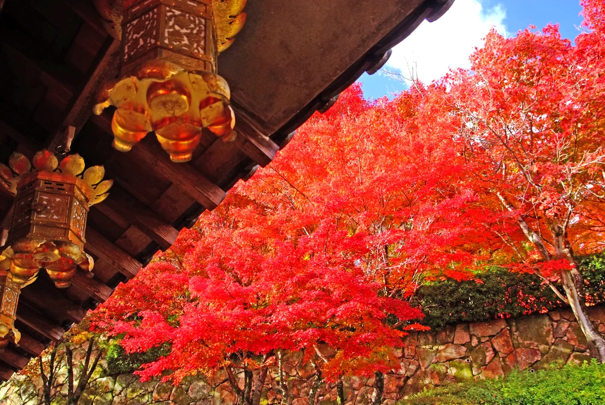 投稿写真：秋の光と灯篭