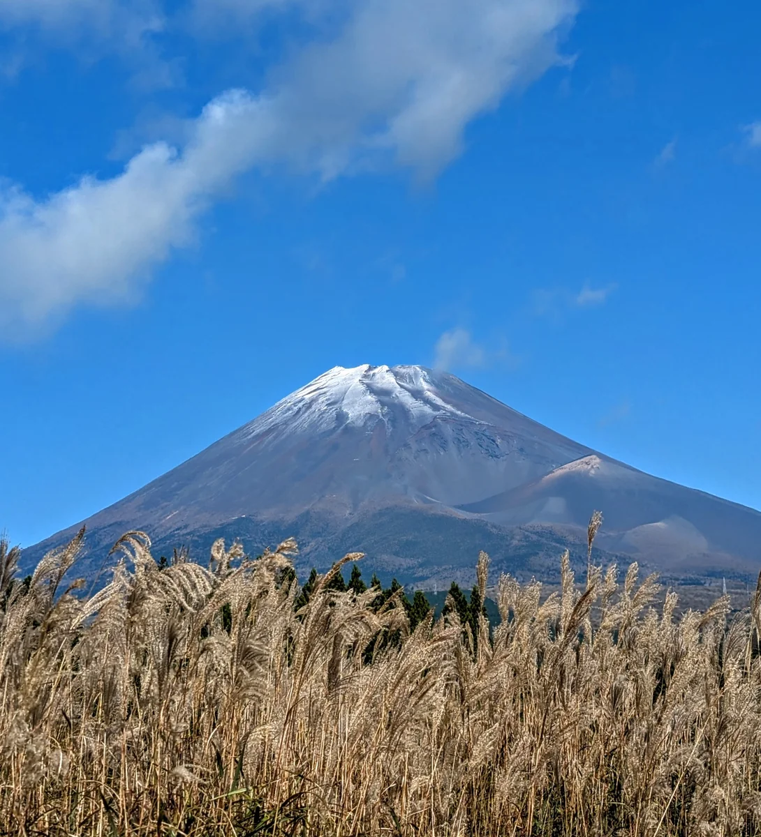 投稿写真：富士山🗻初冠雪 静岡県裾野市十里木高原